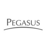 pegasus